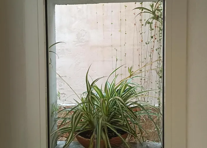 Citta Giardino 4* 로마